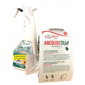 Lasioderma Serricorne, come...