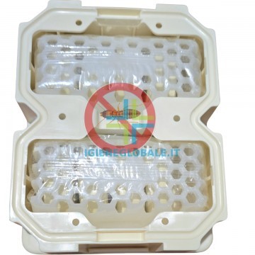 Trappola  per termiti in...