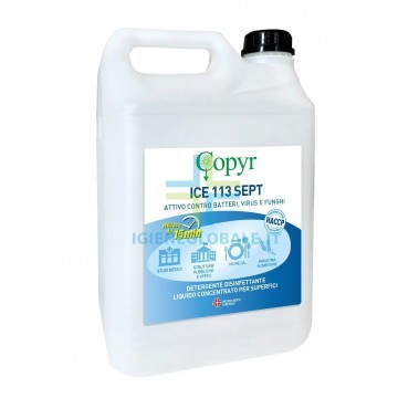 Detergente disinfettante professionale per piani di lavoro e superfici lavabili in cucina ristorante e laboratorio alimentare