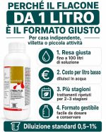 Anti-formiche, professionale, Insetticida-formiche, Cymina Plus, concentrato, 1Lt. - immagine 5