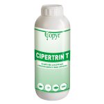 Disinfestazione scarafaggi con cipermetrina, insetticida potente, veleno per blatte, insetti. CIPERTRIN T