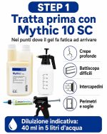 Eliminazione formiche tenaci: Kit Advion gel + pistola + Mythic - immagine 2