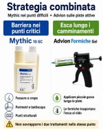 Eliminazione formiche tenaci: Kit Advion gel + pistola + Mythic - immagine 3