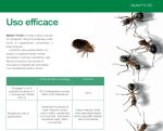 Insetticida contro le cimici da letto-professionale-potente: MYTHIC 10 SC - immagine 4