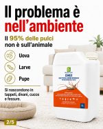 Insetticida elimina pulci pronto all'uso per casa, esterni e giardino. Tanica 5 Litri - immagine 3