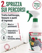 Insetticida per formiche a base di piretro naturale, pronto all'uso, nebulizzabile: Toxolin Super - immagine 3