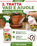 Insetticida per eliminare i millepiedi in casa, cantina, terrazzo e vasi, pronto all'uso: Permecid - immagine 3