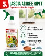 Insetticida per eliminare i millepiedi in casa, cantina, terrazzo e vasi, pronto all'uso: Permecid - immagine 6