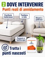 Insetticida professionale per Cimici da Letto| Trattamento per B&B, Hotel, Case Vacanza, Ambienti Domestici - immagine 3
