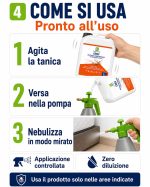 Insetticida professionale per Cimici da Letto| Trattamento per B&B, Hotel, Case Vacanza, Ambienti Domestici - immagine 5