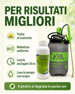 Kit disinfestazione con piretro anti-zanzare, pompa a pressione ed insetticida - immagine 5