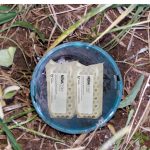 Trappola contro le termiti, per terreno, kit completo, con cellulosa diflubenzuron: Termigard plus - immagine 2