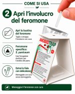 Trappola per anobio del pane, collante con 2 feromoni compresi - immagine 3