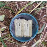 Trappole per termiti, ecologiche, per giardino, aiuole, terreno, trovano il nido di termiti sotterranee