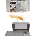 Trappole per termiti, esche complete per interno, Termigard, scatola e cellulosa insetticida.