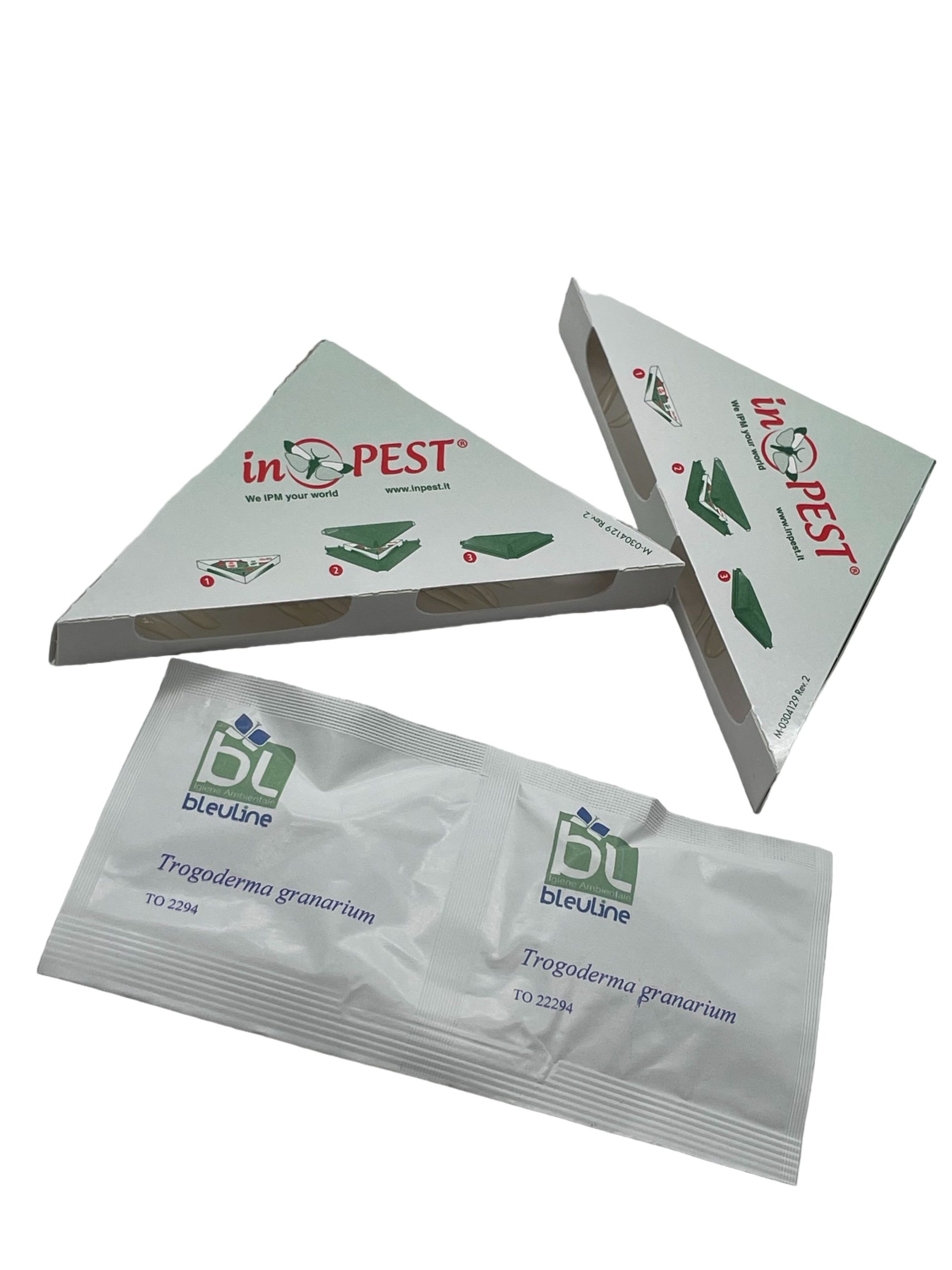 Trappole per Trogoderma granarim, insetto dei cerali. Trappole per Trogoderma granarim, insetto dei cerali. - immagine 1